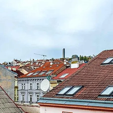 Rentero Mymozart
